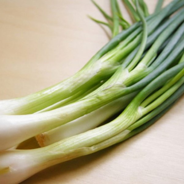 Chilled Spring Onion and Coconut Milk Soup - Santa Fe Farmers' Market ...