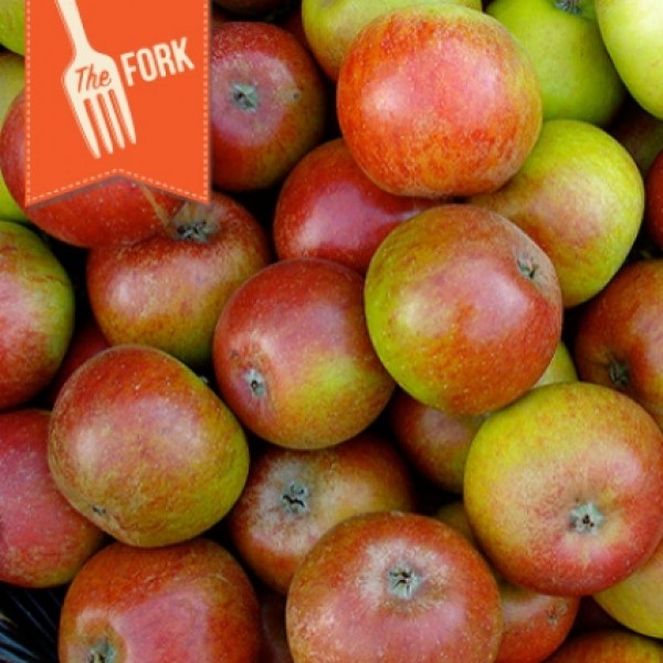 The Fork The Apples Are Coming Santa Fe Farmers' Market Institute