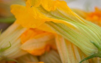 Cafe Pasqual’s Zucchini Blossoms Stuffed With Herbed Goat Cheese