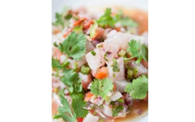 Ceviche from Palomas
