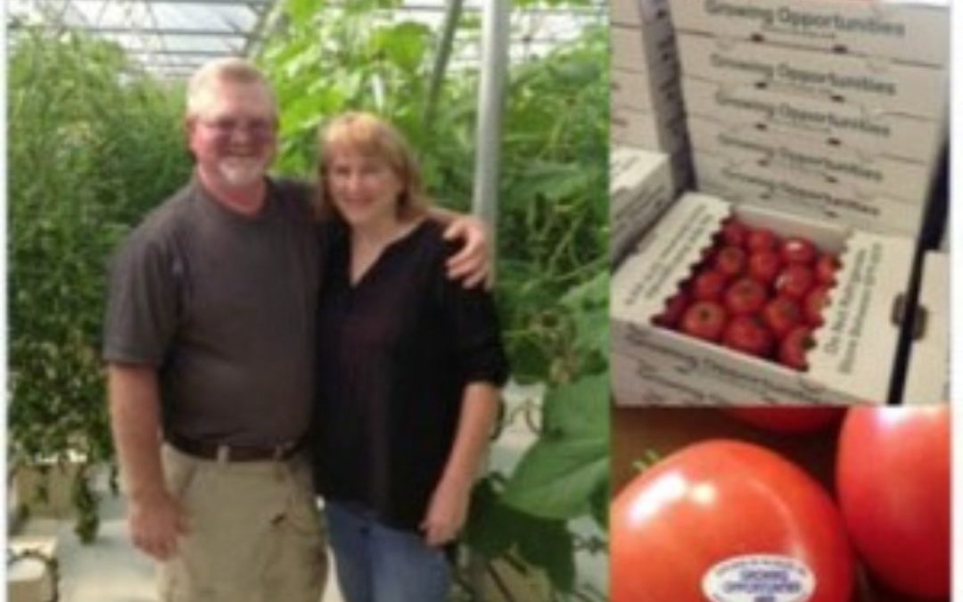 A Burst of Color: Kimberly and Steven Martin’s Luscious Tomatoes