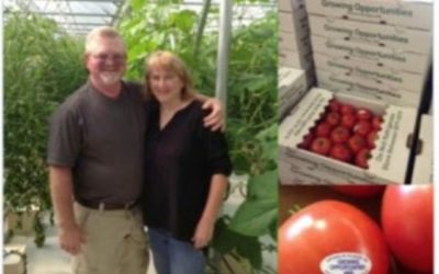 A Burst of Color: Kimberly and Steven Martin’s Luscious Tomatoes